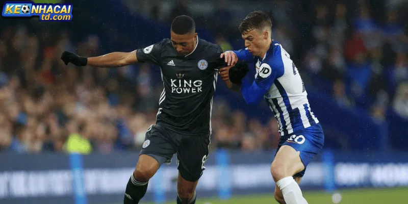 Thông tin trận đấu giữa Leicester City vs Brighton